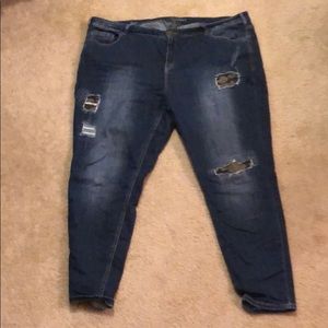 Lane Bryant Size 24 Jean